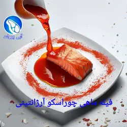 فیله ماهی قزل‌آلا کبابی چوراسکو آرژانتینی