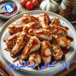 بال کبابی شاندیزی