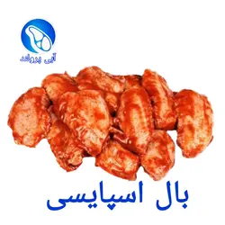 بال کبابی اسپایسی