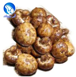 قارچ کبابی باربیکیو
