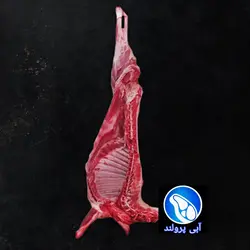 شقه گوسفند سنگسر و شهمیرزاد