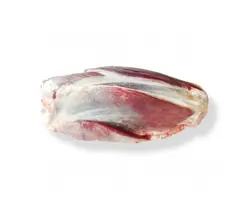 گل ماهیچه گوساله جنگلی