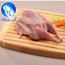 بلدرچین