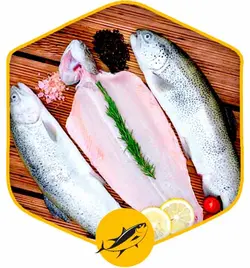 ماهی قزل آلا وحشی