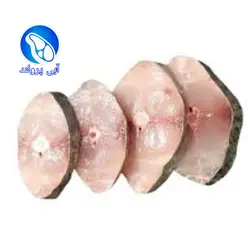 فیله ماهی گالیت جنوب