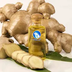روغن زنجبیل پروتئین آبی