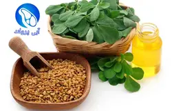 روغن شنبلیله پروتئین آبی