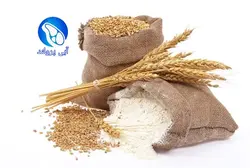 آرد گندم