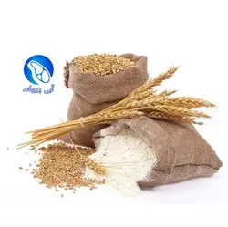 آرد گندم