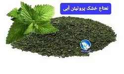 پودر نعناع خشک