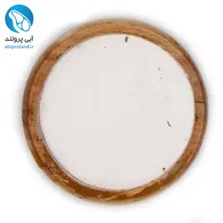 بیکینگ پودر