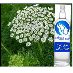 عرق زنیان