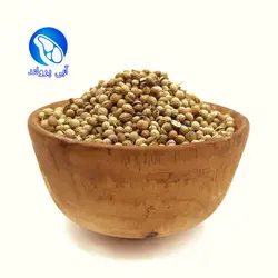 تخم گشنیز