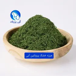 مرزه خشک