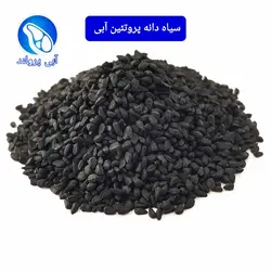 سیاه دانه
