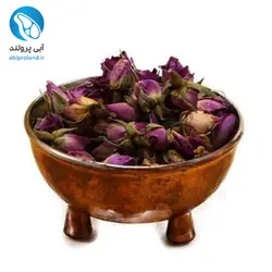 غنچه گل سرخ (گل محمدی)