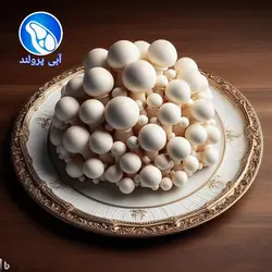 قارچ صدفی VIP