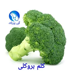 کلم بروکلی