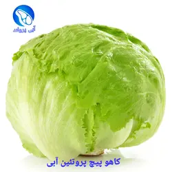 کاهو پیچ VIP