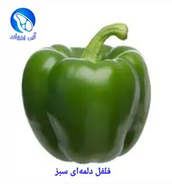 فلفل دلمه‌ای VIP