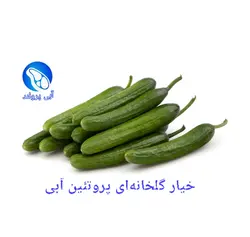 خیار گلخانه ای VIP