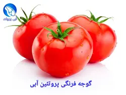 گوجه فرنگی VIP