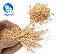 بلغور گندم (900 گرمی)