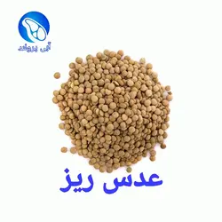 عدس ریز (900 گرمی)