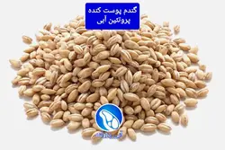 گندم پوست کنده (900 گرمی)