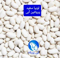 لوبیا سفید (900 گرمی)