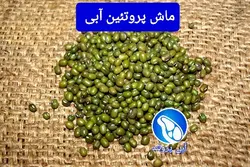 ماش (900 گرمی)