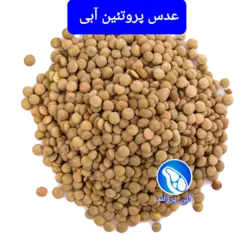 عدس (900 گرمی)