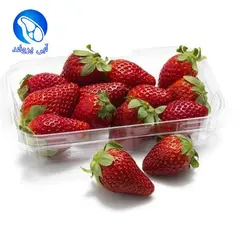 توت فرنگی