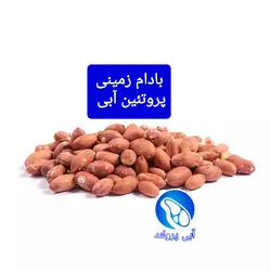 بادام زمینی آستانه اشرفیه
