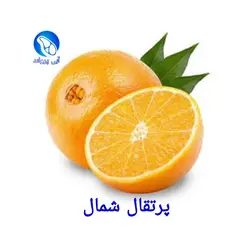 پرتقال تامسون شهسوار VIP
