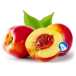 شلیل