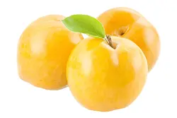 آلو قطره طلا