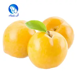 آلو قطره طلا