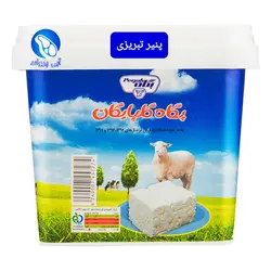 پنیر تبریزی پگاه (۴۰۰ گرم)