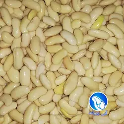 لوبیا باقالا قاتق