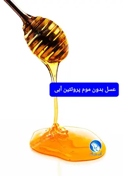 عسل بدون موم