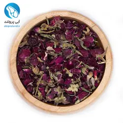 غنچه نسترن بنفش