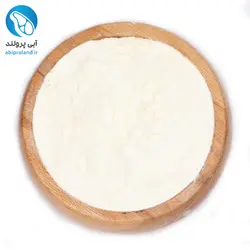 پودر آب پنیر