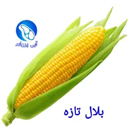بلال امریکایی