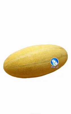خربزه مشهدی