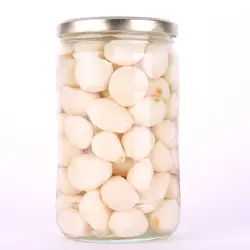 سیر صدفی ۸۰۰ گرمی