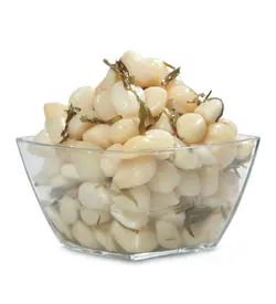 سیر صدفی ۸۰۰ گرمی