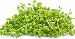 غوره تازه قزوین