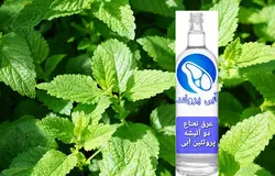 عرق نعنا دو آتیشه