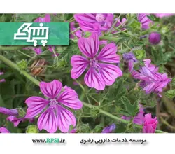 عرق گل پنیرک ( حجم بطری 1 لیتر می باشد)